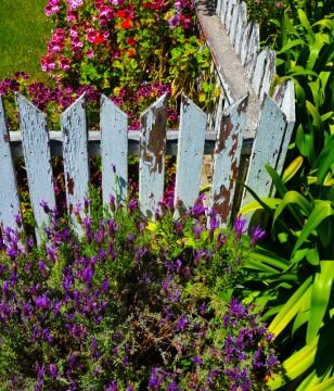 pointed fence.jpg